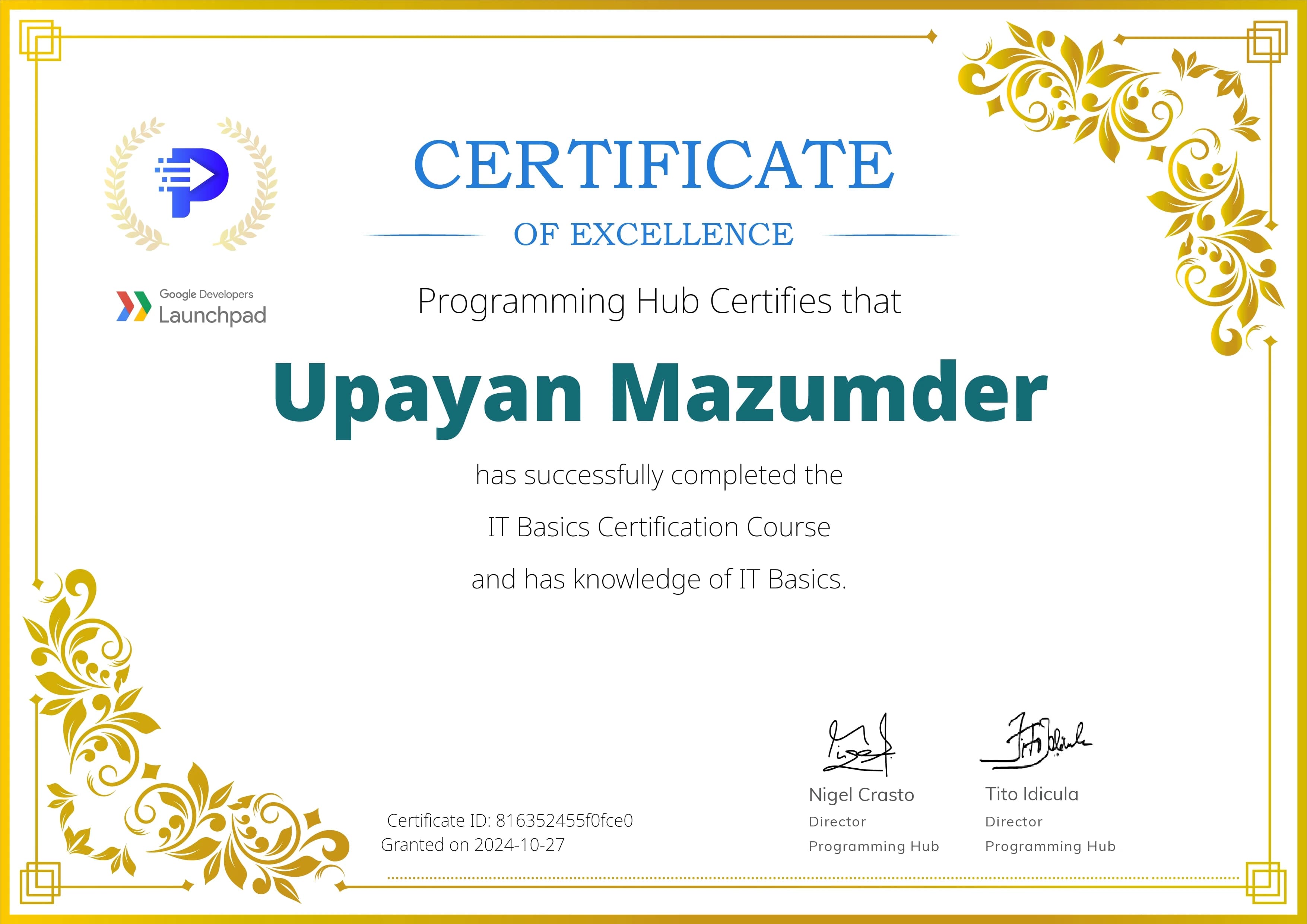 IT Basics certificate